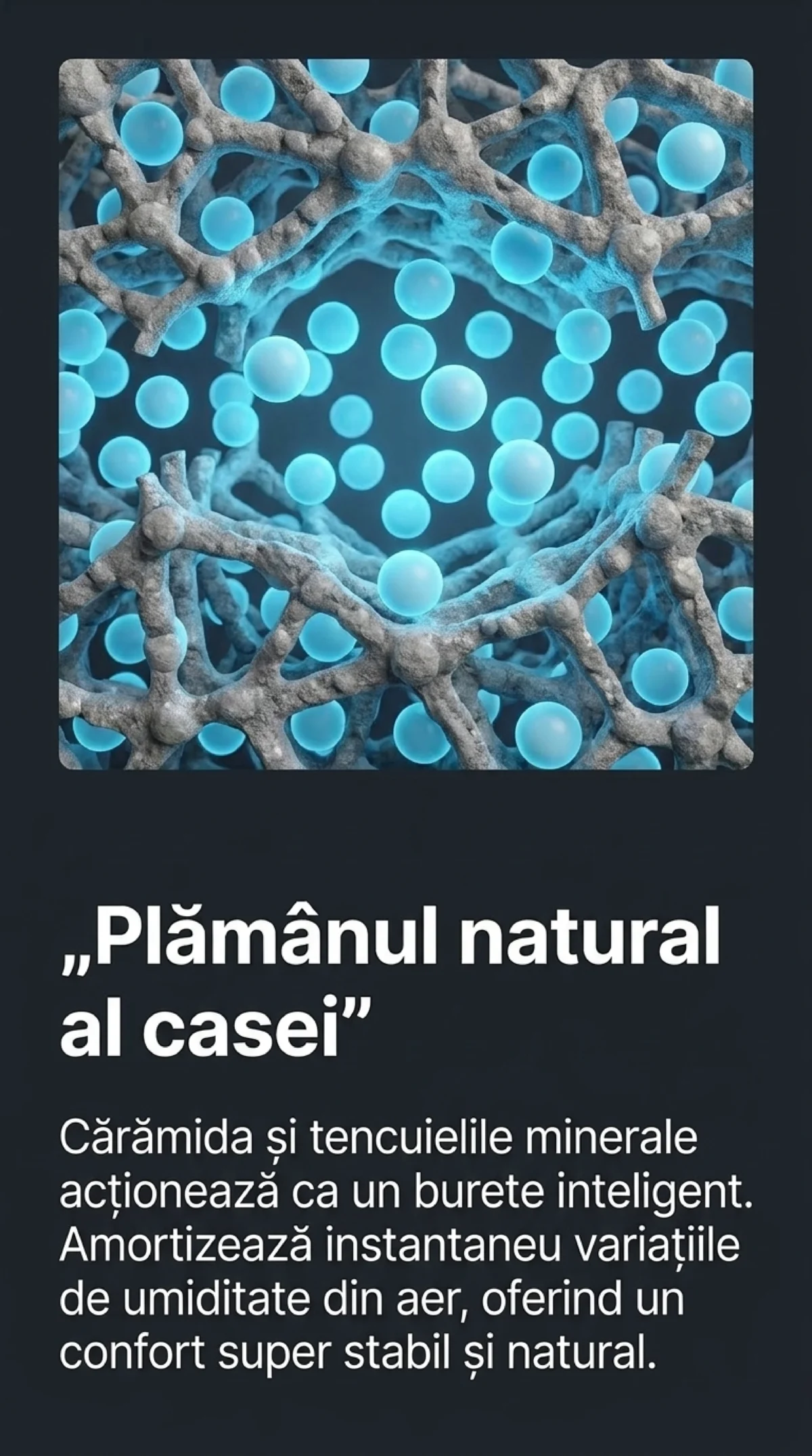 BCA sau caramida Confort termic, higroscopie ?i eficienta 8